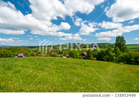 Summer meadow in Cesky Raj beneath Trosky castle with Baba and Panna towers, blooming wildflowers, lush green grass and scenic countryside landscape under blue sky 138953499