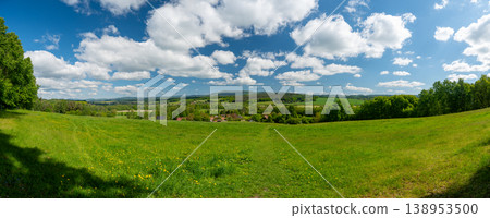 Summer meadow in Cesky Raj beneath Trosky castle with Baba and Panna towers, blooming wildflowers, lush green grass and scenic countryside landscape under blue sky 138953500