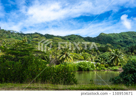 Mangrove on the Coast of Tahaa Island, French Polynesia Mangrove on the Coast of Tahaa Island, French Polynesia 138953671