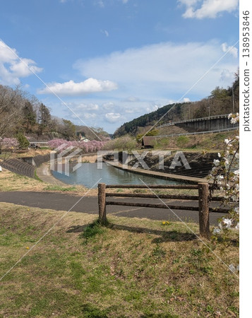 Suburbs where cherry blossoms are in bloom Suburbs where cherry blossoms are in bloom 138953846