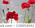 Red poppies by the water's edge - 2 138954042