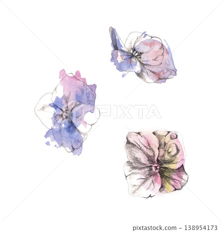 Soft flowers with four petals in pastel lilac, pink and blue tones with loose edges, delicate floral elements. Isolated illustration hand drawn in pencil linework, watercolor wash. Botanical clipart Soft flowers with four petals in pastel lilac, pink and blue tones with loose edges, delicate floral elements. Isolated illustration hand drawn in pencil linework, watercolor wash. Botanical clipart 138954173
