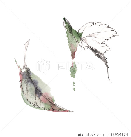 Leaves of tree, shrub or bush, simple form, serrated edges. Isolated plant illustration hand drawn in watercolor wash with pencil outlines and fluid shapes. Botanical clipart, eco branding, packaging Leaves of tree, shrub or bush, simple form, serrated edges. Isolated plant illustration hand drawn in watercolor wash with pencil outlines and fluid shapes. Botanical clipart, eco branding, packaging 138954174