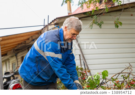 Gardener man pruning tree branches in backyard. Caucasian senior worker collecting cut wood and twigs. Horticulture activity, seasonal plant care and landscaping maintenance concept. Gardener man pruning tree branches in backyard. Caucasian senior worker collecting cut wood and twigs. Horticulture activity, seasonal plant care and landscaping maintenance concept. 138954712