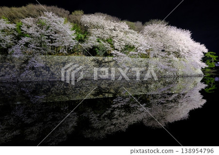 Light up of Hikone castle Light up of Hikone castle 138954796