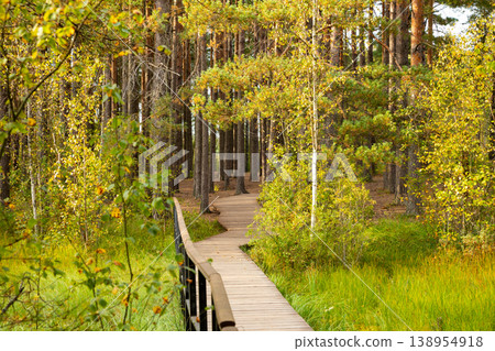 Wooden path through evergreen forest. Nature trail for hiking in national park. Eco-friendly walkway in woodland for outdoor recreation, ecological tourism and peaceful walk in autumn. Wooden path through evergreen forest. Nature trail for hiking in national park. Eco-friendly walkway in woodland for outdoor recreation, ecological tourism and peaceful walk in autumn. 138954918