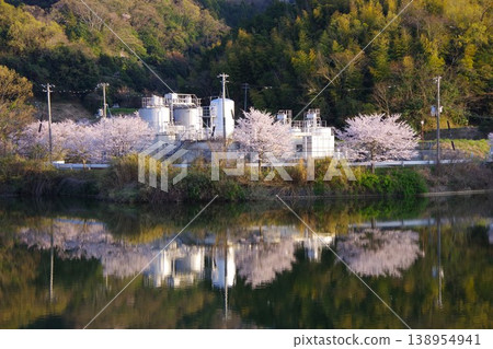 Kawachi Water Treatment Plant in Awaji City, Hyogo Prefecture, with cherry blossoms in bloom. 138954941