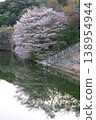 Cherry blossoms in full bloom along the lake of Kawachi Dam in Awaji City, Hyogo Prefecture. 138954944