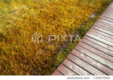 Wooden boardwalk of eco trail through marshland. Path over bright green and yellow swamp vegetation. Nature reserve infrastructure for tourism and hiking. Ecological conservation landscape area. Wooden boardwalk of eco trail through marshland. Path over bright green and yellow swamp vegetation. Nature reserve infrastructure for tourism and hiking. Ecological conservation landscape area. 138954983