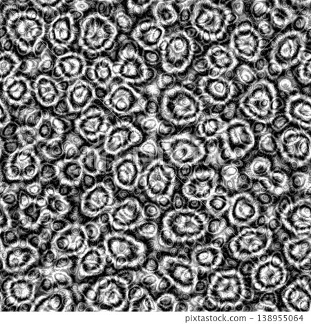 Fossil Coral Texture Shading Occlusion Map Fossil Coral Texture Shading Occlusion Map 138955064