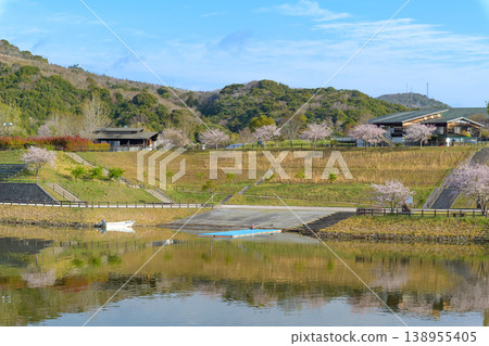 A scene of cherry blossoms in full bloom and a blue sky adorning the lakeside in spring. A scene of cherry blossoms in full bloom and a blue sky adorning the lakeside in spring. 138955405