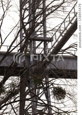 Industrial Steel Bridge Structure with Bare Winter Tree Branches in Muted Grey Tones 138955479