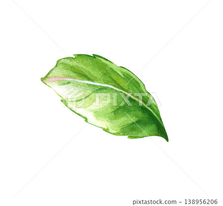 Handmade watercolor illustration with a single fresh green mint leaf isolated on a white background. 138956206
