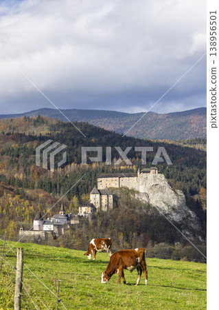 Orava Castle in Slovakia with cows grazing in a autumn pasture Orava Castle in Slovakia with cows grazing in a autumn pasture 138956501
