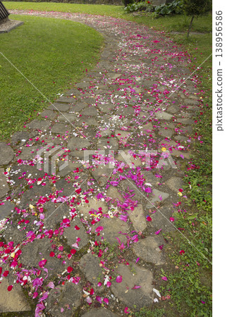 Stone path covered with colorful flower petals Stone path covered with colorful flower petals 138956586