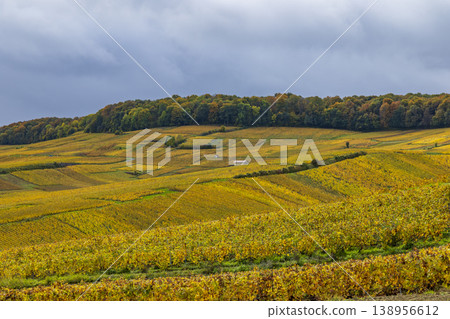 Autumn colors covering vineyard landscape in Champagne, France Autumn colors covering vineyard landscape in Champagne, France 138956612