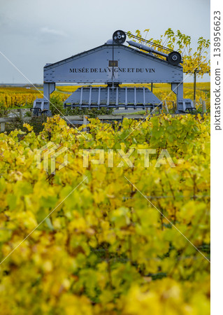 Musee de la Vigne et du Vin in Champagne vineyard, Marne, France Musee de la Vigne et du Vin in Champagne vineyard, Marne, France 138956623