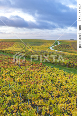 Val de Livre vineyards showing autumn colors winding road Val de Livre vineyards showing autumn colors winding road 138956702