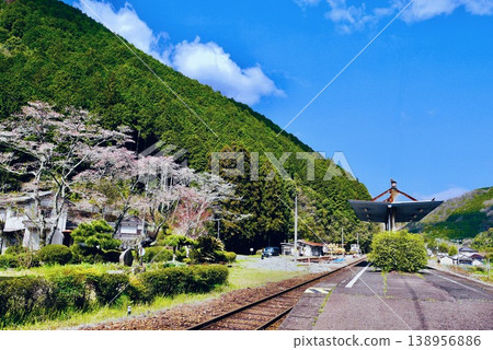 錦川青龍線北河內站附近櫻花盛開。 錦川青龍線北河內站附近櫻花盛開。 138956886