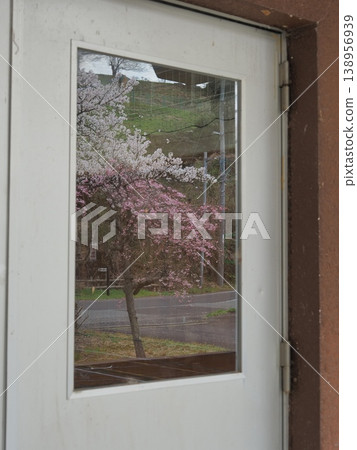 Cherry blossoms reflected in the door glass Cherry blossoms reflected in the door glass 138956939