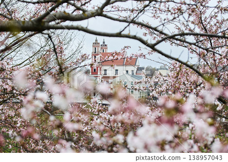 Cherry blossoms framing church of st. Philip and st. James Cherry blossoms framing church of st. Philip and st. James 138957043