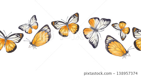 Watercolor orange and white butterflies seamless banner. Decorative border with flying insects on isolated background. Nature art motif for textile design, invitation card and spring decor. Watercolor orange and white butterflies seamless banner. Decorative border with flying insects on isolated background. Nature art motif for textile design, invitation card and spring decor. 138957374