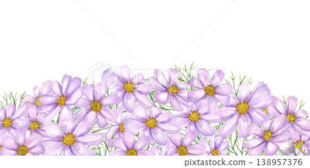 Purple cosmos flowers arranged in horizontal border on isolated background. Watercolor illustration of Mexican aster blossom. Botanical element for wedding invitation design, birthday greeting cards 138957376