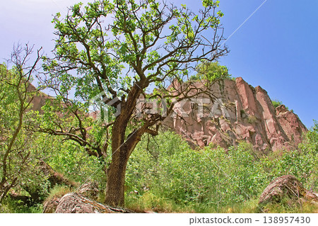 Scenic Ihlara Valley Canyon in Cappadocia. Scenic Ihlara Valley Canyon in Cappadocia. 138957430