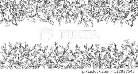Forsythia flower with herbs horizontal border black and white hand drawn illustration. Branches with blooming flowers floral frame, blank space for text. For wedding invitation, greeting card Forsythia flower with herbs horizontal border black and white hand drawn illustration. Branches with blooming flowers floral frame, blank space for text. For wedding invitation, greeting card 138957542