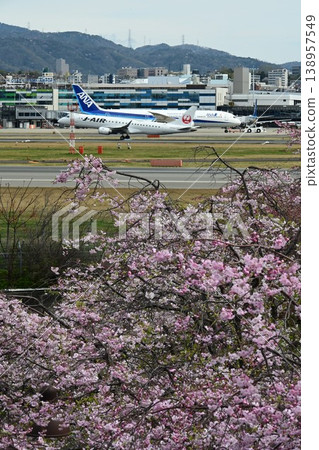 伊丹天空公園 - 櫻花季 138957549