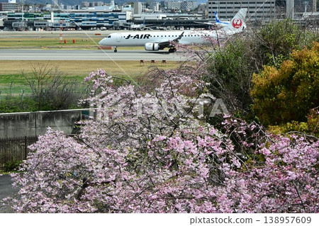 伊丹天空公園 - 櫻花季 138957609