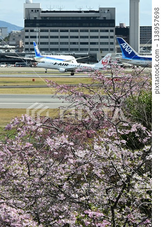 伊丹天空公園 - 櫻花季 138957698