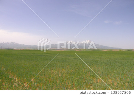 Mount Hasan Volcano Cappadocia Landscape. Majestic snow-capped Mount Hasan peaks over green spring fields in Cappadocia, Turkey. 138957806