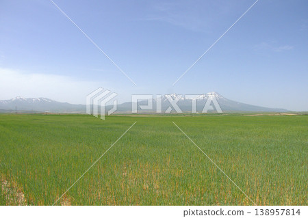 Mount Hasan Volcano Cappadocia Landscape. Majestic snow-capped Mount Hasan peaks over green spring fields in Cappadocia, Turkey. 138957814