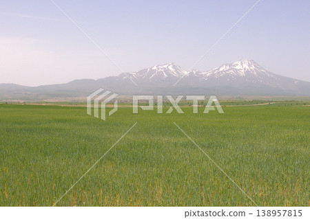 Mount Hasan Volcano Cappadocia Landscape. Majestic snow-capped Mount Hasan peaks over green spring fields in Cappadocia, Turkey. 138957815