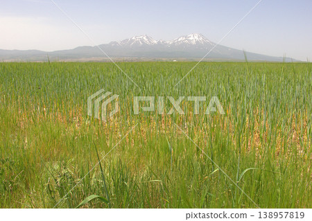 Mount Hasan Volcano Cappadocia Landscape. Majestic snow-capped Mount Hasan peaks over green spring fields in Cappadocia, Turkey. 138957819