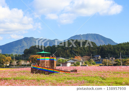 福岡縣田川郡音櫻街道花卉公園的波斯菊和觀景台 138957930