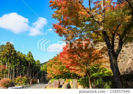 Hikosan Daigongen, a garden of faith and gardens on the hillside of Hikosan in Soeda Town, Fukuoka Prefecture Hikosan Daigongen, a garden of faith and gardens on the hillside of Hikosan in Soeda Town, Fukuoka Prefecture 138957940