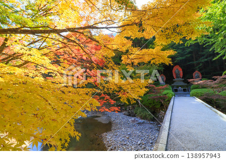 Fudo Myoo and autumn leaves at Hikosan Daigongen Yunotani Betsuin in Soeda Town, Fukuoka Prefecture Fudo Myoo and autumn leaves at Hikosan Daigongen Yunotani Betsuin in Soeda Town, Fukuoka Prefecture 138957943