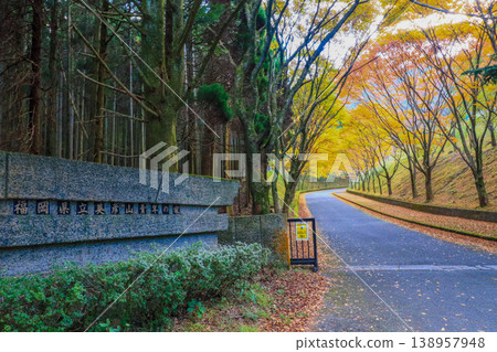 位於福岡縣添田町彥山山坡上的彥山青年中心的秋天。 位於福岡縣添田町彥山山坡上的彥山青年中心的秋天。 138957948