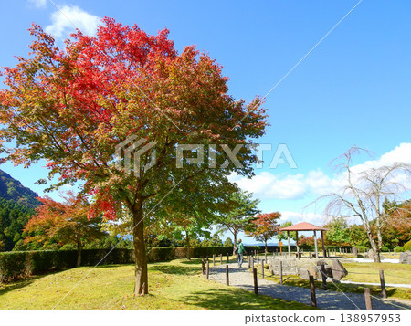 Autumn leaves at Hikosan Daigongen Shrine, located on the slopes of Mt. Hikosan in Soeda Town, Fukuoka Prefecture. Autumn leaves at Hikosan Daigongen Shrine, located on the slopes of Mt. Hikosan in Soeda Town, Fukuoka Prefecture. 138957953