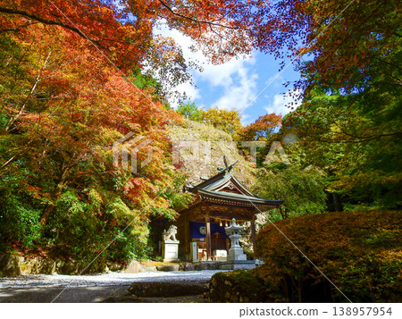 Takasumi Shrine, a famous spot for autumn leaves on the hillside of Hikosan in Soeda Town, Fukuoka Prefecture Takasumi Shrine, a famous spot for autumn leaves on the hillside of Hikosan in Soeda Town, Fukuoka Prefecture 138957954