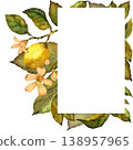 Lemons branch with leaves and flowers. Botanical watercolor illustration isolated on white background 138957965