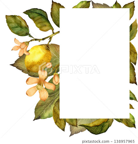 Lemons branch with leaves and flowers. Botanical watercolor illustration isolated on white background 138957965