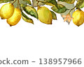 Lemons with leaves and flowers. Botanical watercolor horizontal illustration isolated on white background 138957966