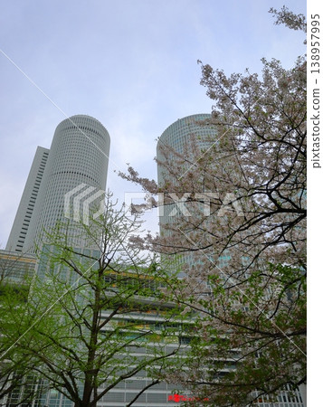 JR東海大廈與櫻花 JR東海大廈與櫻花 138957995