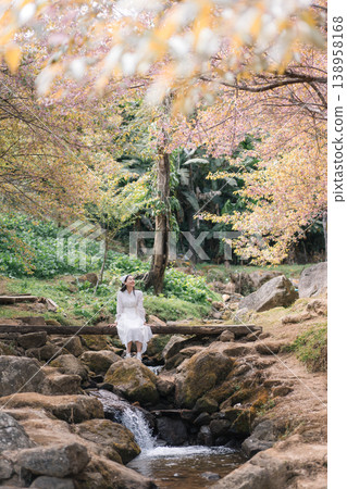 Attractive woman in dress enjoying on wooden bridge by stream and pink wild himalayan cherry trees in rural scene Attractive woman in dress enjoying on wooden bridge by stream and pink wild himalayan cherry trees in rural scene 138958168