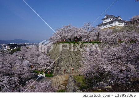 "Tsuruyama Park (Tsuyama Castle Fort)", one of the 100 cherry blossom landmarks in Tsuyama City, Okayama Prefecture 138958369