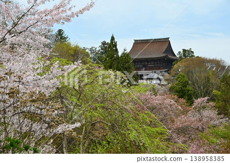 吉野山的櫻花,吉野山是世界遺產「紀伊山脈的聖地和朝聖之路」的一部分。 吉野山的櫻花,吉野山是世界遺產「紀伊山脈的聖地和朝聖之路」的一部分。 138958385