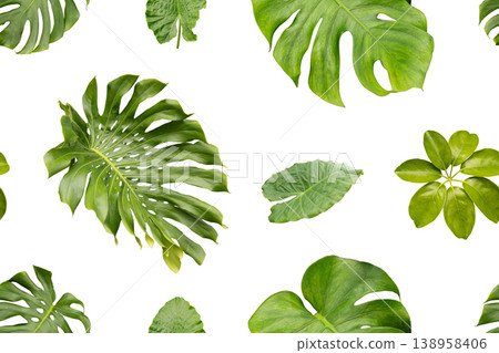 A seamless pattern with different types of green plants across a white background. The plants are arranged in a way that creates a uniform look, suitable for many applications A seamless pattern with different types of green plants across a white background. The plants are arranged in a way that creates a uniform look, suitable for many applications 138958406